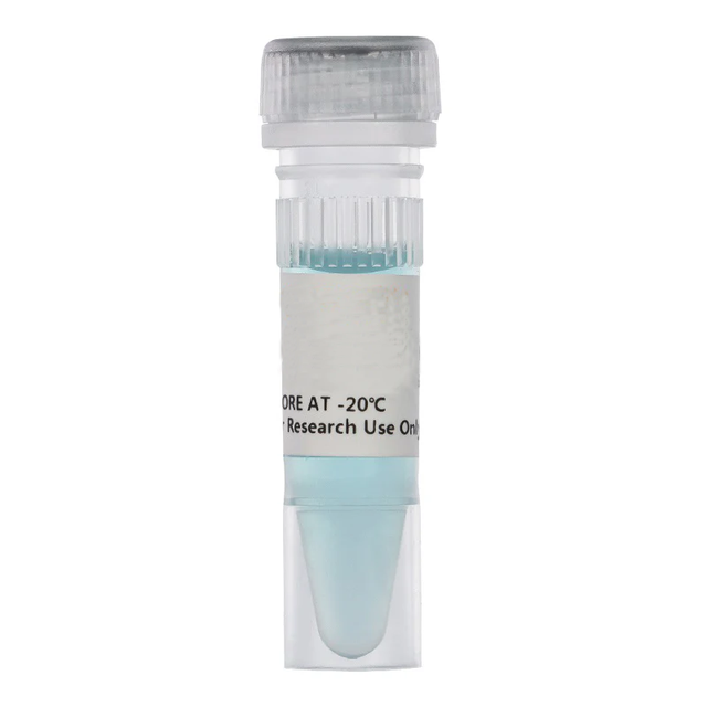 Saturn Taq DNA Polymerase Real Time Fluorescence Quantitative 2x SYBR Green Master Mix High Specificity Wide Instrument