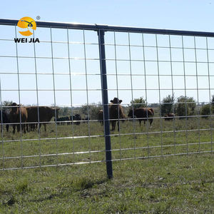 Maille de fil métallique soudée galvanisée personnalisable, <span class=keywords><strong>acheter</strong></span> des échantillons en ligne, pour clôtures de ferme, poulaillers et nichoirs - Product Image 4