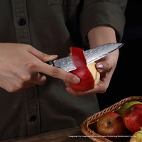 Klein High-End Damascus Staal Fruitgroente Hakmes Multifunctioneel Keukenmes Met Houten Handvat Voor Buitengebruik