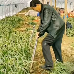 Attrezzo per la Rimozione di Radici di Ortaggi a Radice con Design Rinforzato in Acciaio Zincato Resistente - Product Image 1