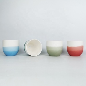 Pots pression atatatatuclower lower OTS mmmucucucucucucucculent OTS en POTS ulk eeauty aTiX IX leglegant Lant - Product Image 6