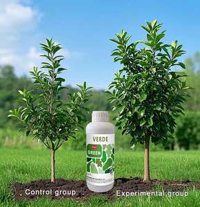 <span class=keywords><strong>Fertilizante</strong></span> de hojas verdes grandes <span class=keywords><strong>para</strong></span> mejorar la calidad de los cultivos <span class=keywords><strong>Fertilizante</strong></span> de hojas verdes <span class=keywords><strong>Fertilizante</strong></span> de hierba <span class=keywords><strong>natural</strong></span> orgánica - Product Image 4