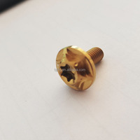 Vis industrielle à tête cylindrique en alliage de titane M8 M10 GR5 avec longueurs de 10mm à 40mm