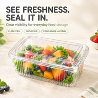 Conteneur en plastique PET transparent pour fruits frais, idéal pour salades et pains, qualité alimentaire, personnalisable