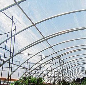 Cerceau agricole 20-100m <span class=keywords><strong>Tunnel</strong></span> commercial économique Film plastique pour serre de <span class=keywords><strong>tomates</strong></span> - Product Image 2