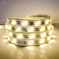 Bande Lumineuse LED 220V Haute Luminosité 2835 Trois Rangées 180 LED/m 100m/Rouleau Étanche IP67 Éclairage Paysager Extérieur Rouge Bleu Vert