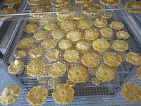 KINKAI Industriële Commerciële Voedseldehydrator & Droogmachine met Warmtepomp RVS Automatische Besturing Hoge Efficiëntie