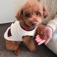 Gilet en polaire pour chien et chat avec écharpe tricotée et bordure à carreaux, vêtements chauds d'hiver pour animaux de compagnie, pour petits et grands chiens XS-6XL