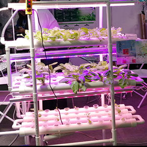 Systèmes agricoles verticaux d'intérieur hydroponiques intelligents à lumière LED pour la maison, le bureau et le restaurant-Automatique avec composants centraux de pompe à moteur - Product Image 4