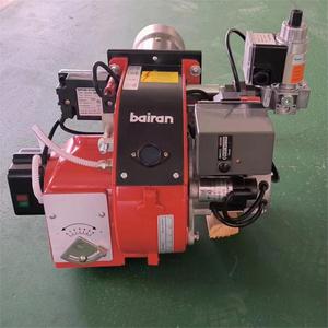 Chaudières industrielles à gaz BAIRAN BURNER GAS BG10 de haute qualité (220v, 50hz) - Vente chaude en usine - Product Image 4