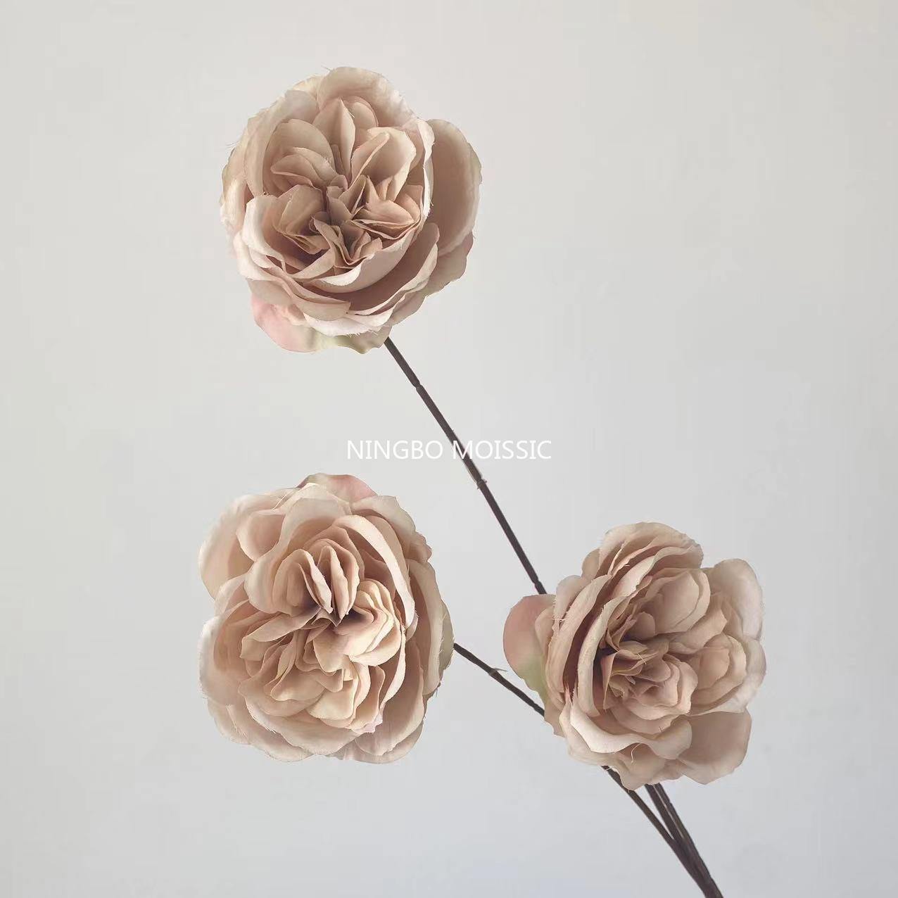 สีน้ำตาล