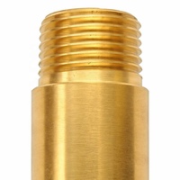 Valvola Antigelo in Ottone da 1/2 Pollice con Controllo della Temperatura e Scarico Automatico per Scaldabagno Solare e Protezione da Congelamento per Tubi da Giardino Esterni