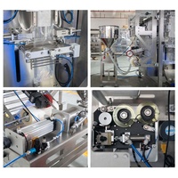 Automatische verticale verpakkingsmachine met hogesnelheidszuigerpomp voor sap, melk, vloeistoffen, foliezakken en pouches