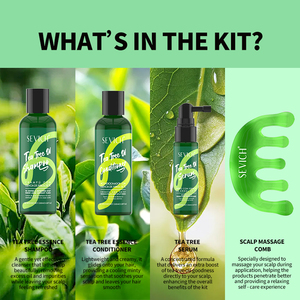 Juego personalizado de cuidado del cabello con aceite de árbol de té, caja de regalo, crecimiento del cabello de <span class=keywords><strong>barba</strong></span>, suavizante, champú de aceite de árbol de té Natural, juego de cuidado del cabello de Romero - Product Image 5