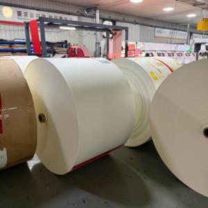 Rouleau de papier couché PE de qualité alimentaire, haute rigidité, imperméable, poids personnalisé, pour l'emballage alimentaire en usine - Product Image 3