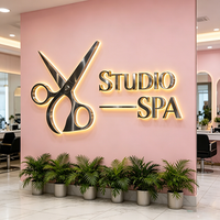 Enseigne lumineuse personnalisée pour salon de beauté, enseigne publicitaire rétroéclairée, enseigne murale en acier inoxydable 3D, enseigne en acrylique illuminée par LED