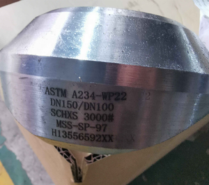 Phụ Kiện Rèn Thép Carbon Astm A105n MSS-SP 97 Sockolet Weldolet Weldolet - Product Image 5