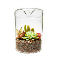 Pot de terrarium en verre de 6x9 pouces, plante d'intérieur avec couvercle pour succulentes, cactus, fougères, mousse de fée - Design transparent élégant