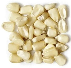 Maïs à Grains Entiers Jaune et Blanc de Haute Qualité, Maturé, 25kg, Non-Glutineux, Prix de Gros pour Fournisseur d'Aliments pour Animaux - Product Image 1