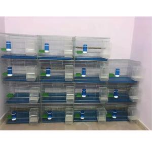 Vente en gros de grande cage à oiseaux galvanisée épaisse en acier inoxydable pour l'élevage de perroquets en peau de tigre étourneau noir phénix - Product Image 5