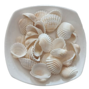 Revêtement de sol en terrazzo en pierre naturelle, écologique, non toxique, copeaux de coquillages concassés, <span class=keywords><strong>gravier</strong></span> de qualité supérieure, pierre concassée pour jardin, parc - Product Image 6