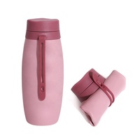 Bouteilles d'eau pliables en silicone personnalisées Wellfine pour la gym, réutilisables, pour filles, sports de plein air et voyages