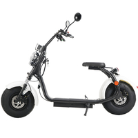 Fabrika doğrudan EEC COC Moped Monopattino Patinete Electrico itme skuter elektrikli motosiklet Citycoco Scooter C01A