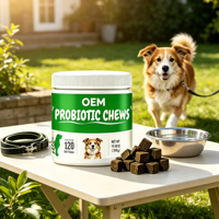 Comprimés à croquer multivitaminés pour chiens – Complément nutritionnel aromatisé pour usage quotidien – OEM
