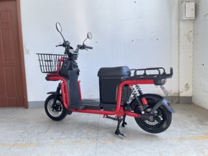 Exportaciones de Vehículos Eléctricos: Bicicletas Eléctricas para Subir Colinas, Entrega de Carga, E-Bikes de Largo Alcance, Motocicletas de 800W 6072V de Gran Autonomía - Product Image 6
