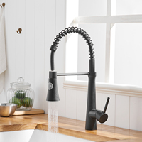 Robinet de cuisine monocommande moderne avec douchette extractible pour usage hospitalier et agricole, eau chaude/froide, finition noire, en laiton avec cartouche céramique