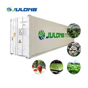 Vận chuyển container trang trại Micro greens container nhà máy nhà máy hydroponics phát triển container nhà kính