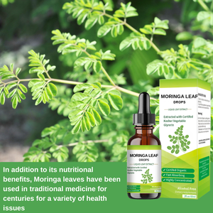 OEM 유기농 모링가 잎 추출물 모링가 잎 드롭 건강 면역 및 에너지 지원 - Product Image 3