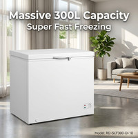 En stock : Congélateur coffre solaire 300L 12V 24V DC à compresseur, machine à glaçons puissante pour la maison, les zones rurales et le stockage hors réseau