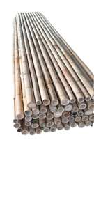 Postes de bambú gruesos de ALTA CALIDAD para construcción o decoración 8 13cm de diámetro PARED FUERTE para CONSTRUCCIÓN - Product Image 5
