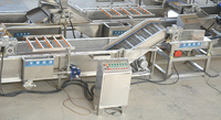 Huagang Pitahaya Reinigingsmachine Lijn Dragon Fruit Weging En Sorteermachine In Mexico