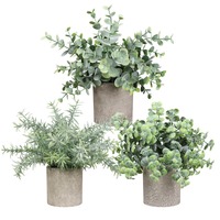 Plante d'eucalyptus Offre Spéciale en pot décoration de la maison plante artificielle bonsaï