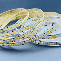Bande lumineuse LED à double température de couleur DC12V 24V SMD 2835 240 LED/m IP20 10 mm de largeur 10W Rouleau de 10 m 3000K+6000K Lumières LED intelligentes