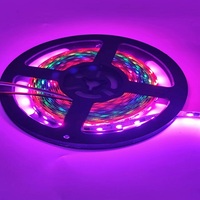 DC12v RGB SMD5050LED Funcionamiento a todo color ExternalIC Programable SM16703 Tira de LED flexible direccionable Control de aplicación IP33 para