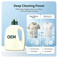 Recharge de lessive en sachet biodégradable portable, antibactérienne, parfum jasmin, pour vêtements, marque privée, emballage écologique, personnalisable OEM