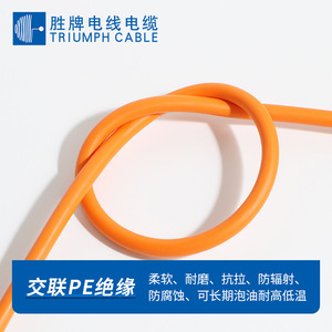 Triumph <b>Cable</b> Ev <b>Charging</b> <b>Cable</b> 2.5 4 6 10 16 25 35 50 Sq Mm Bare Copper Wire For Replace Repair - Product Image 4