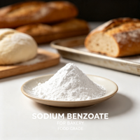 Lixinjie Factory Benzoate de sodium double forme en poudre et granulés CAS532-32-1 E211 Additif alimentaire Certifié Casher Halal Sac de 25 kg