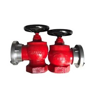 Hydrant d'incendie intérieur basse pression avec double vanne et double sortie, connecteur de tube hors sol pour boîtier de raccordement de pompe à incendie