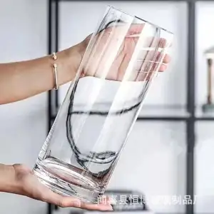 Vase verre transparent arrangement de fleurs décoration salon culture hydroponique de l'eau cylindre droit neige saule cheval dr
