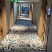 Tapis en peluche à chaîne étoilée, fabriqué à la machine, antidérapant et ignifuge, pour hôtels, chambres privées et couloirs