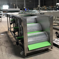 Goede Prijs Fruit Selecteren Apparatuur Amandel Blueberry Guave Grading Sorteren Sizing Machine