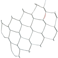 Grillage hexagonal galvanisé à chaud 1,5-3,0 mm, maille de 25 mm, pour cages à poissons, pièges à homards et crabes, aquaculture