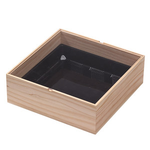 Caja de Sushi Cuadrada Desechable Ecológica de Madera Maciza Estilo Japonés, Tapa Transparente Acrílica Antivaho, Logotipo Personalizado - Product Image 6
