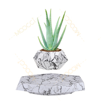 Pot de plante lévitant, décoration d'intérieur, bonsaï, jardinières suspendues, pot de fleurs magnétique flottant pour petites plantes