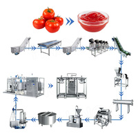 Ligne de production entièrement automatique de purée de tomates HNOC petite machine commerciale de fabrication de sauce tomate