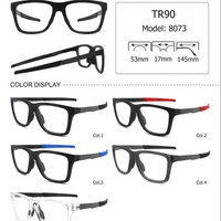 Monture de lunettes de soleil de créateur en TR90 avec branches métalliques, personnalisable avec logo, pour verres optiques